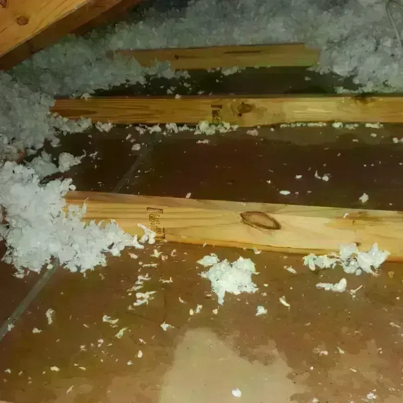 Attic Water Damage in Yazoo County, MS