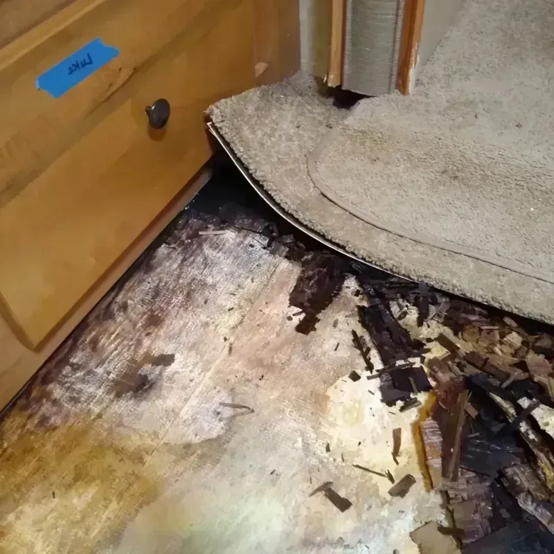 Best Wood Floor Water Damage Service in Yazoo County, MS